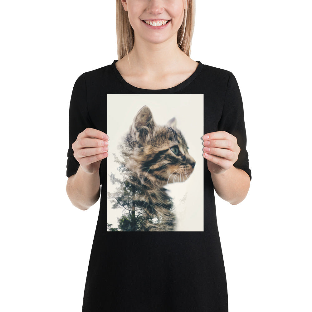 Double exposure kitten 2