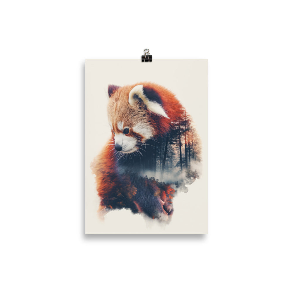 Panda roux double exposition 1