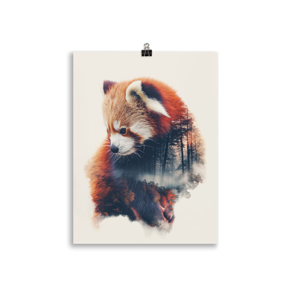 Panda roux double exposition 1