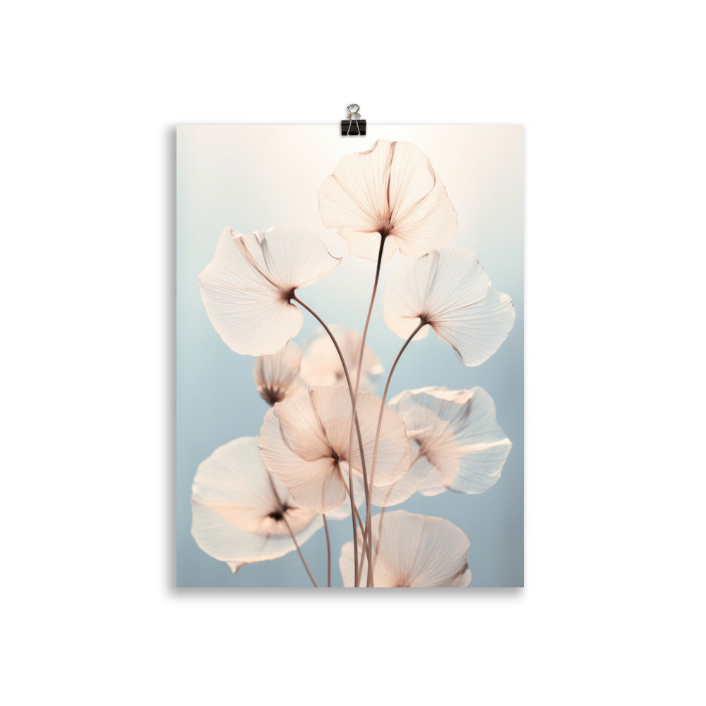 Fleurs en contre-jour