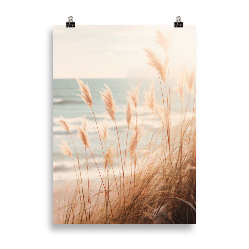 Des roseaux au soleil