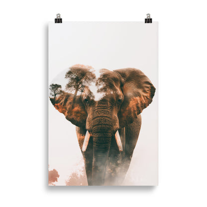 Double exposure elephant